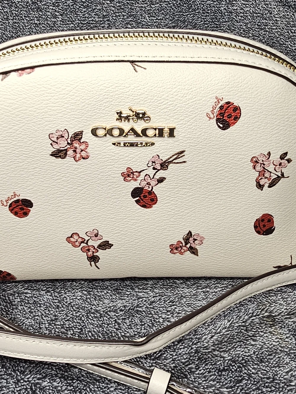 Coach White Floral & Ladybug Crossbody Bag